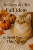 20 Cozy & Chic Fall Ideas to Spoil Your Cat This Autumn